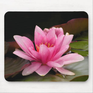 Tropical Waterlily Floral Botanical Design Mouse Mat
