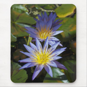 Tropical Waterlily Floral Botanical Design Mouse Mat
