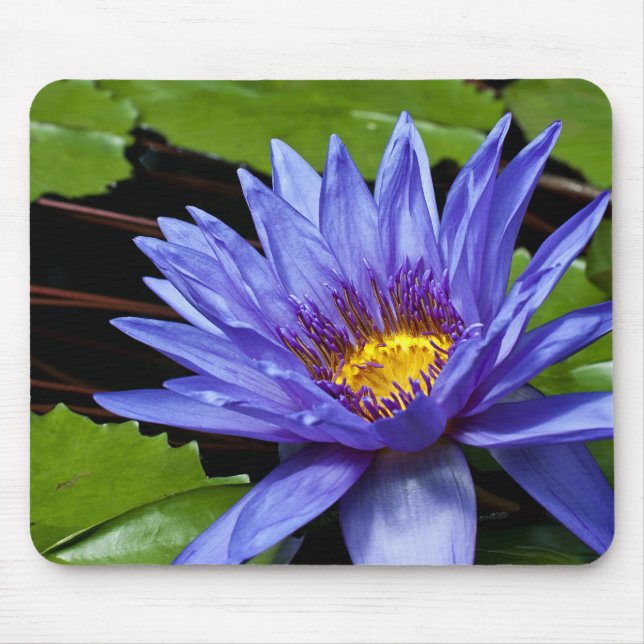 Tropical Waterlily Mousepad (Front)