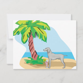 tropical weimaraner