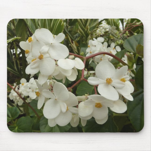 Tropical White Begonia Floral Mouse Mat (Front)