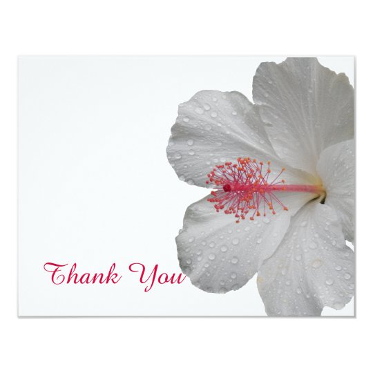 Tropical White Hibiscus Thank You Card