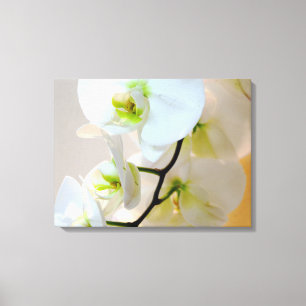 Tropical White Orchids Number Two Wrapped Canvas