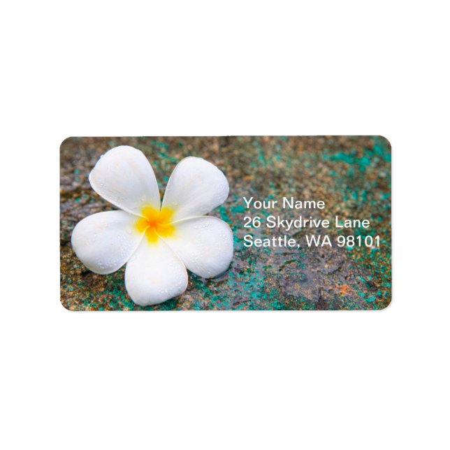 Tropical White Plumeria Flower Frangipani Label (Front)