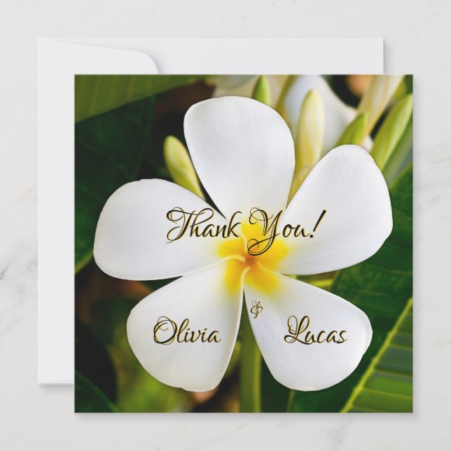 Tropical White Plumeria - New Beginnings - Wedding (Front)