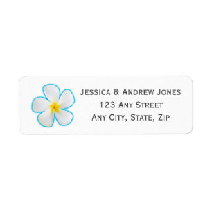 Tropical, White Plumeria on Blue, Floral,