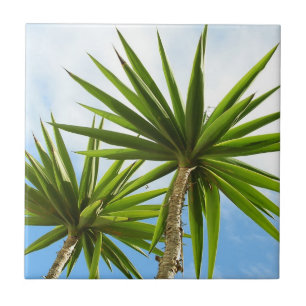 Tropical Yucca Palm Leaves Painting Effect Photo Tile