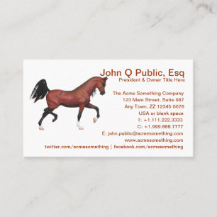 Trotting Bay Arabian Horse Farm Riding School Business Card