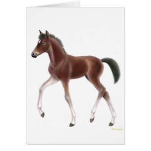 Trotting Foal Card