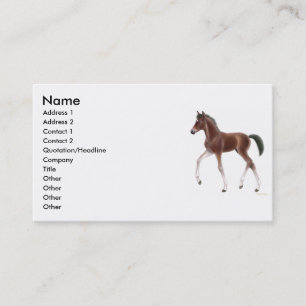 Trotting Foal Profile Card