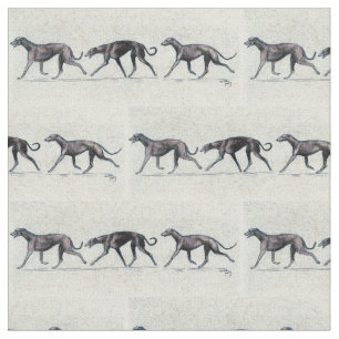Trotting Greyhounds Dog Art Fabric