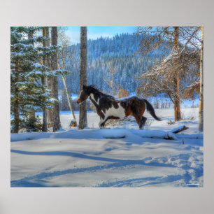 Trotting Pinto Paint Stallion & Winter Snows Poster