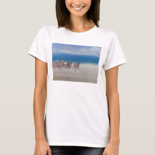 Trotting Races Lancieux Brittany 2014 T-Shirt