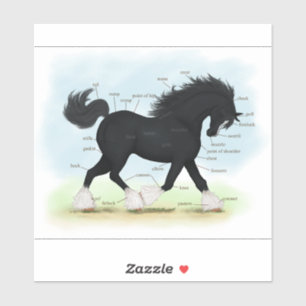 Trotting Shire Draught Horse Equine Anatomy Chart 