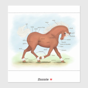 Trotting Sorrel Horse Equestrian Anatomy Chart Sti