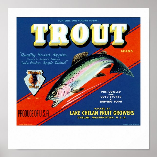 Trout Brand Poster (Front)