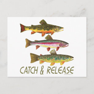Trout Catch and Release Postcard