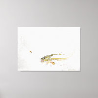 Trout chasing a fisherman's fly