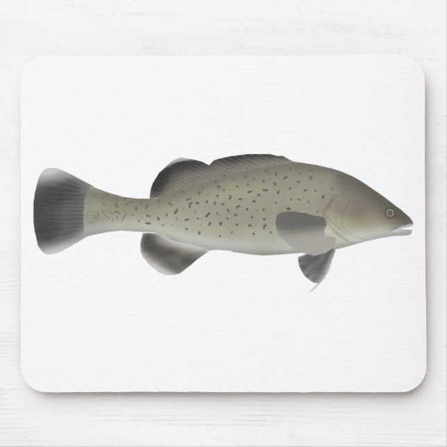 Trout Cod Mouse Mat (Front)