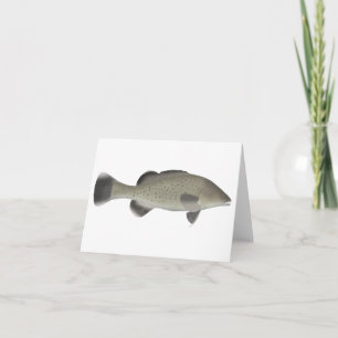Trout Cod Note Card