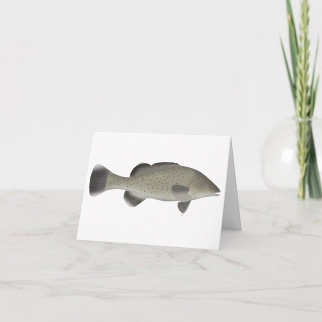 Trout Cod Note Card (Front)