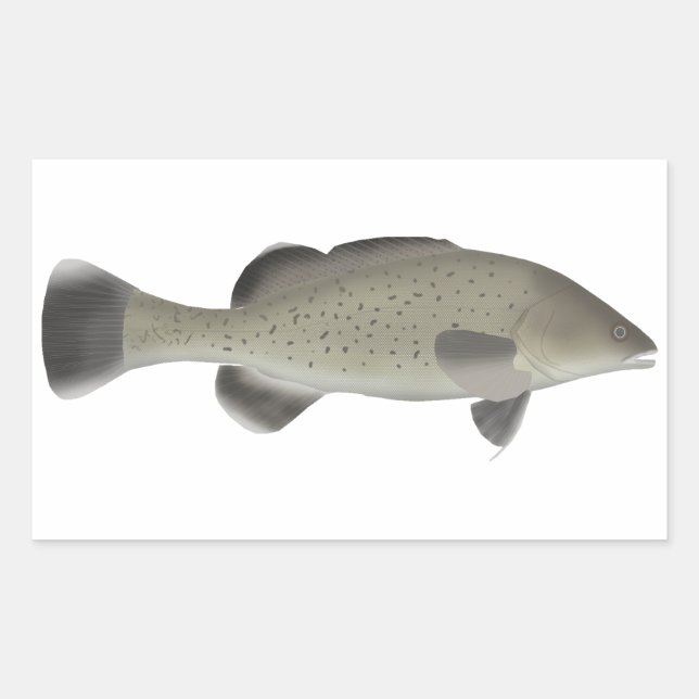Trout Cod Rectangular Sticker (Front)