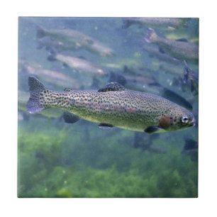 Trout fishermens gifts tile