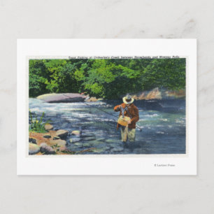 Trout Fishing at Catherine's Creek Postcard