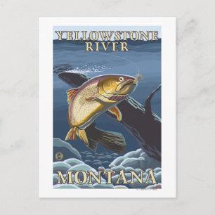 Trout Fishing Cross-Section 5 Postcard