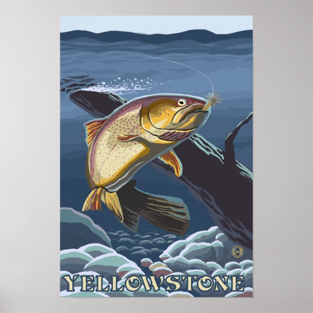 Trout Fishing Cross-Section 5 Poster (Front)