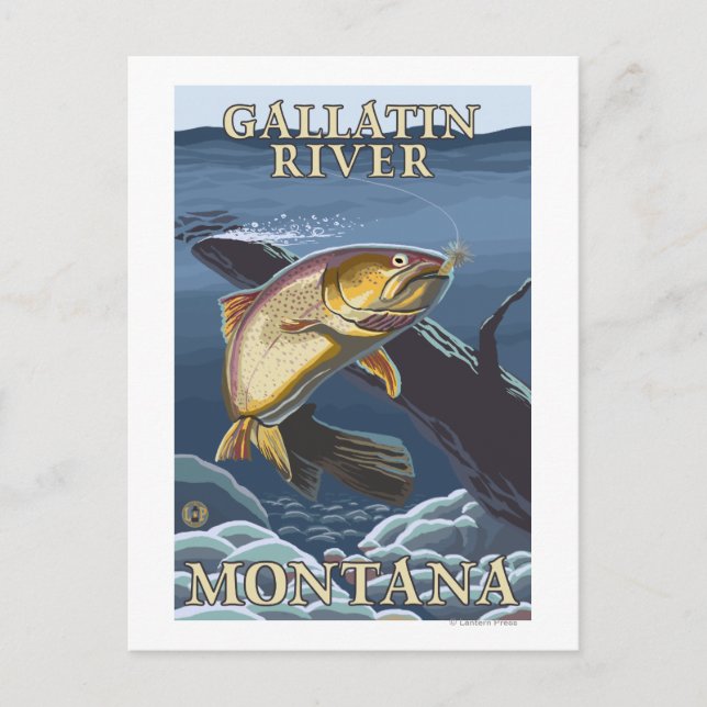 Trout Fishing Cross-Section - Gallatin River, Postcard (Front)