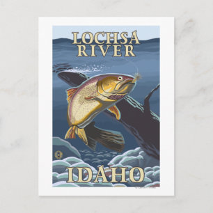 Trout Fishing Cross-Section - Lochsa River, Postcard