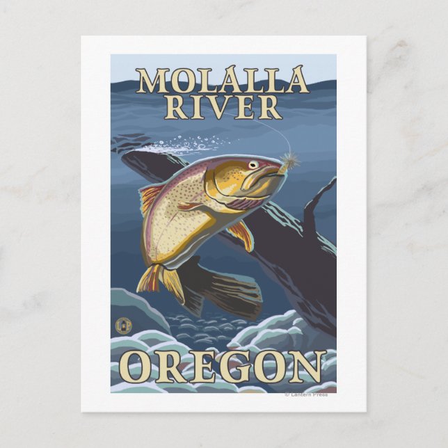 Trout Fishing Cross-Section - Molalla River, Postcard (Front)