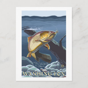 Trout Fishing Cross-Section - Washington Postcard