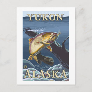 Trout Fishing Cross-Section - Yukon, Alaska Postcard