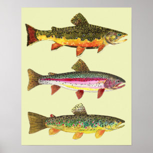 Trout Fishing Poster