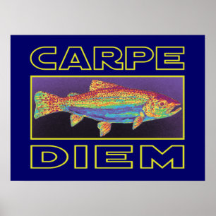 Trout Fishing Poster
