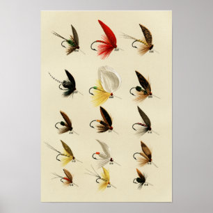 Trout Flies 204 to 218 Vintage Poster