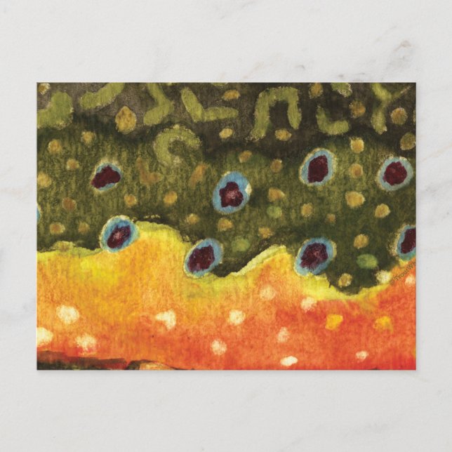 Trout Fly Fishing Postcard (Front)