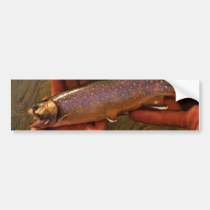 Trout in Hands Bumper Sticker
