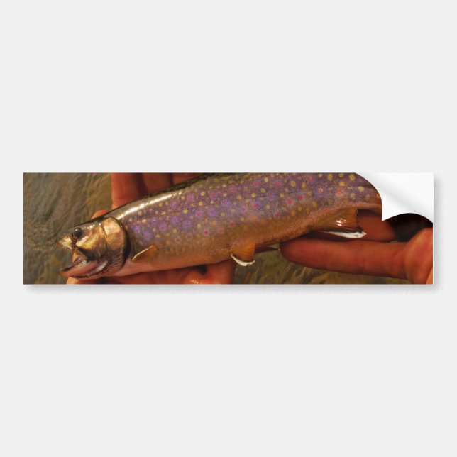 Trout in Hands Bumper Sticker (Front)