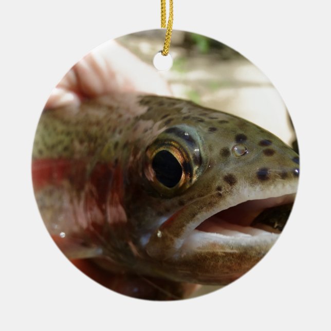 Trout in Hands Ceramic Tree Decoration (Front)