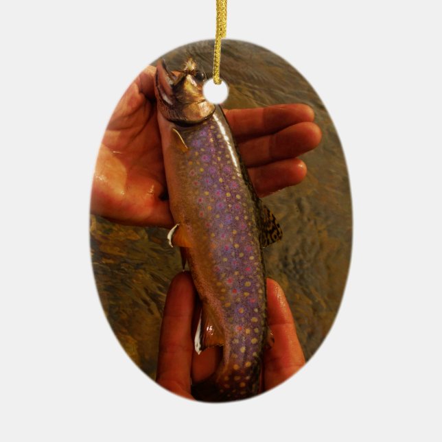 Trout in Hands Ceramic Tree Decoration (Front)