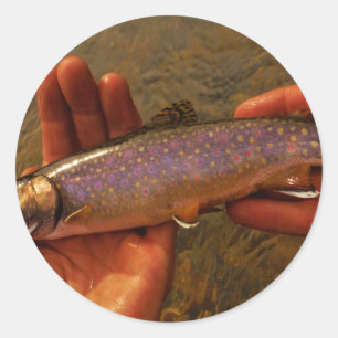 Trout in Hands Classic Round Sticker