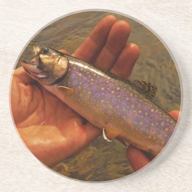 Trout in Hands Coaster (Front)