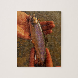 Trout in Hands Jigsaw Puzzle