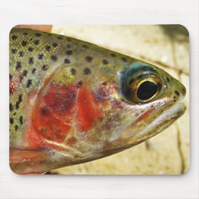 Trout in Hands Mouse Mat (Front)