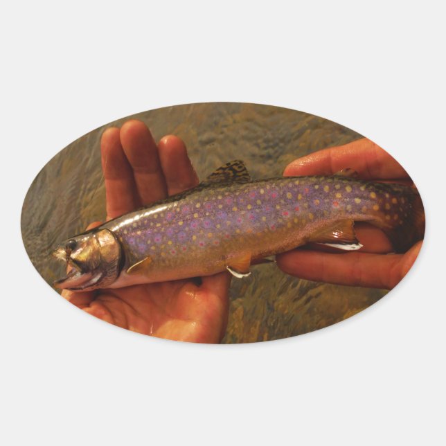 Trout in Hands Oval Sticker (Front)
