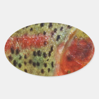 Trout in Hands Oval Sticker