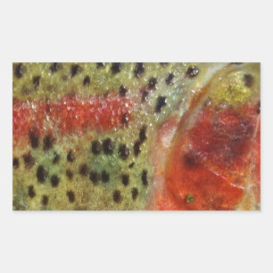 Trout in Hands Rectangular Sticker